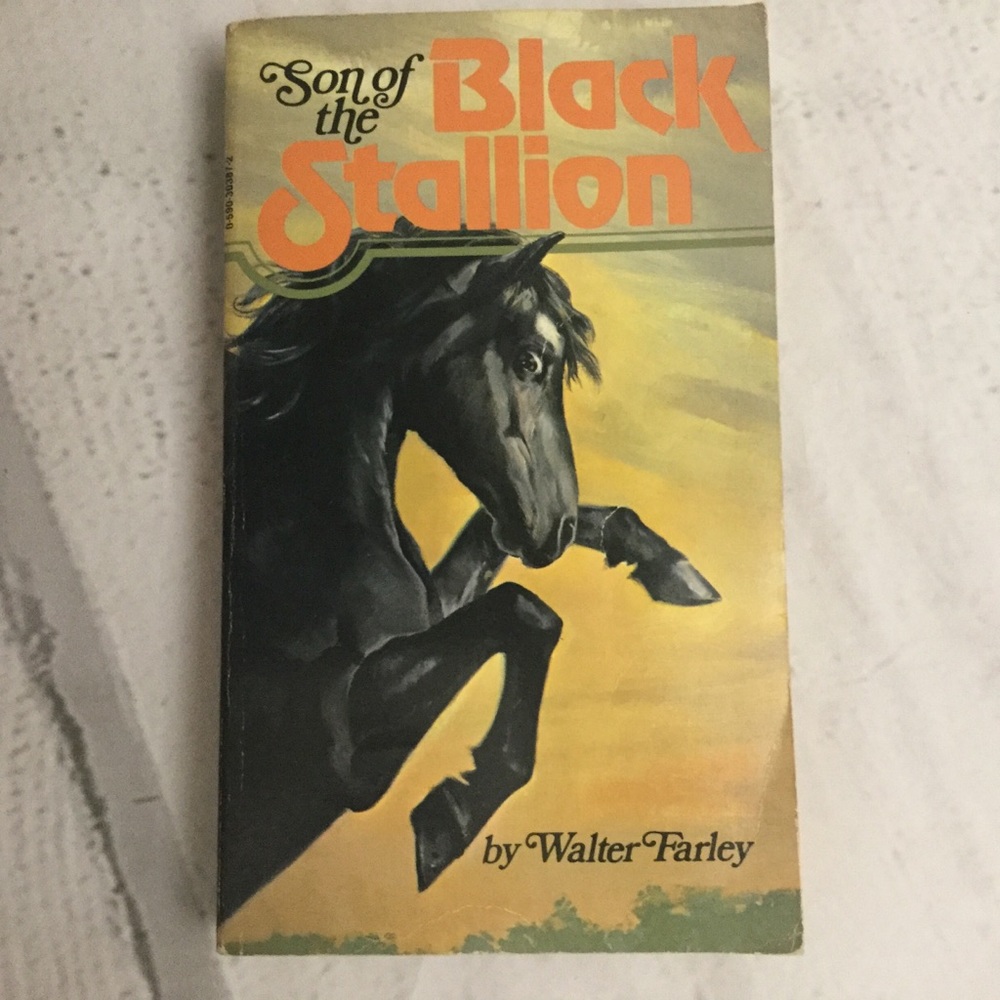 Son of the Black Stallion vintage paperback book